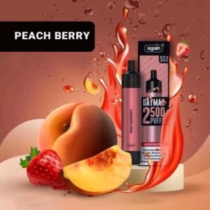 AGAIN DAYMAX 2500 BEST DISPOSABLE VAPE IN UAE PEACH BERRY