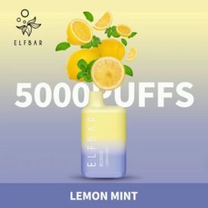 ELF BAR 5000 PUFFS BEST DISPOSABLE VAPE IN UAE Lemon Mint