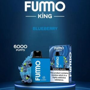 FUMMO KING 6000 PUFFS BEST DISPOSABLE IN UAE BLUEBERRY