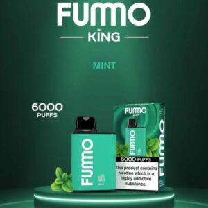 FUMMO KING 6000 PUFFS BEST DISPOSABLE IN UAE MINT