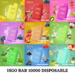 ISGO BAR 10000 PUFFS BEST DISPOSABLE IN UAE