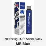 NERD SQUARE 5000 PUFFS BEST DISPOSABLE IN UAE MR BLUE