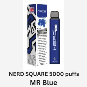 NERD SQUARE 5000 PUFFS BEST DISPOSABLE IN UAE MR BLUE