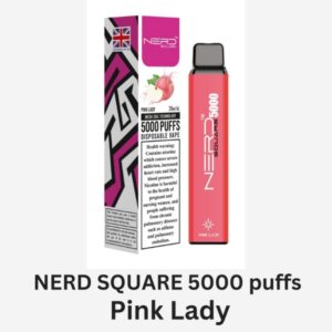 NERD SQUARE 5000 PUFFS BEST DISPOSABLE IN UAE PINK LADY
