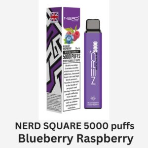 NERD SQUARE 5000 PUFFS BEST DISPOSABLE IN UAE BLUEBERRY RASPBERRY