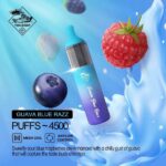 TUGBOAT EVO 4500 PUFFS BEST DISPOSABLE IN UAE GUAVA BLUE RAZZ
