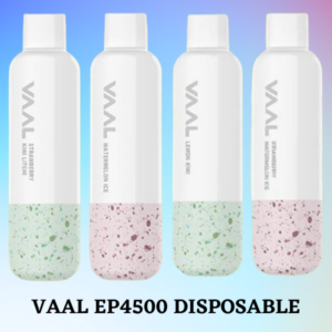 VAAL EP4500 PUFFS BEST DISPOSABLE IN UAE