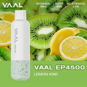 VAAL EP4500 PUFFS BEST DISPOSABLE IN UAE LEMON KIWI