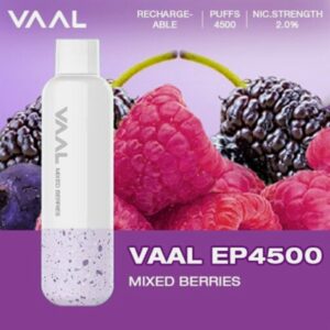 VAAL EP4500 PUFFS BEST DISPOSABLE IN UAE MIXED BERRIES