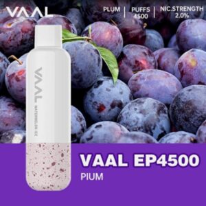 VAAL EP4500 PUFFS BEST DISPOSABLE IN UAE PIUM