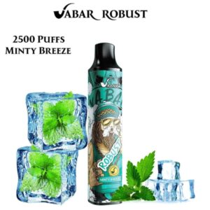 VABAR ROBUST 2500 BEST DISPOSABLE IN UAE MINTY BREEZE