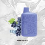VAPOKISS JACK 5000S PUFFS BEST DISPOSABLE IN UAE GRAPE ICE