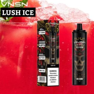 VNSN QUAKE 10000 PUFFS BEST DISPOSABLE IN UAE LUSH ICE