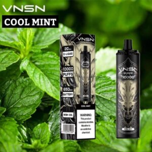 VNSN QUAKE 10000 PUFFS BEST DISPOSABLE IN UAE COOL MINT