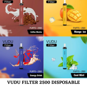 VUDU FILTER 2500 PUFFS BEST DISPOSABLE IN UAE