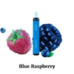 VUDU FILTER 2500 PUFFS BEST DISPOSABLE IN UAE BLUE RASPBERRY