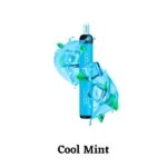 VUDU FILTER 2500 PUFFS BEST DISPOSABLE IN UAE COOL MINT