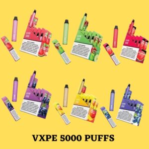 VXPE 5000 PUFFS BEST DISPOSABLE IN UAE
