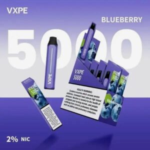 VXPE 5000 PUFFS BEST DISPOSABLE IN UAE BLUEBERRY