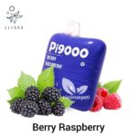 ELF BAR PI9000 PUFFS BEST DISPOSABLE VAPE IN UAE BERRY RASPBERRY