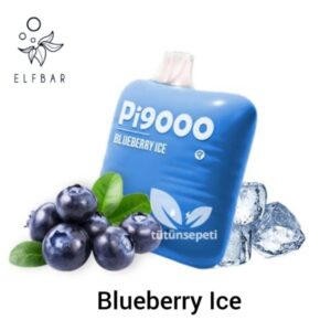 ELF BAR PI9000 PUFFS BEST DISPOSABLE VAPE IN UAE BLUEBERRY ICE