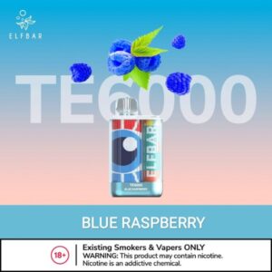 ELFBAR TE6000 PUFFS BEST DISPOSABLE VAPE IN UAE blue raspberry
