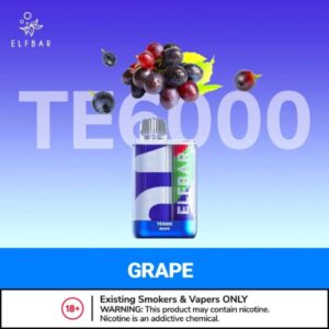 ELFBAR TE6000 PUFFS BEST DISPOSABLE VAPE IN UAE grape