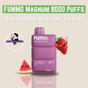 FUMMO Magnum 8000 Puffs 2% Nicotine i