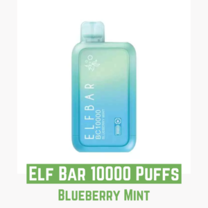 Elf Bar 10000 Puffs Disposable Vape Blueberry Mint