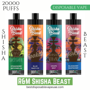 R&M Shisha Beast 20000 Puffs Disposable Vape Device