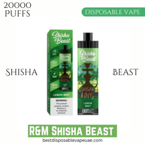 R&M Shisha Beast 20000 Puffs Disposable Vape Device