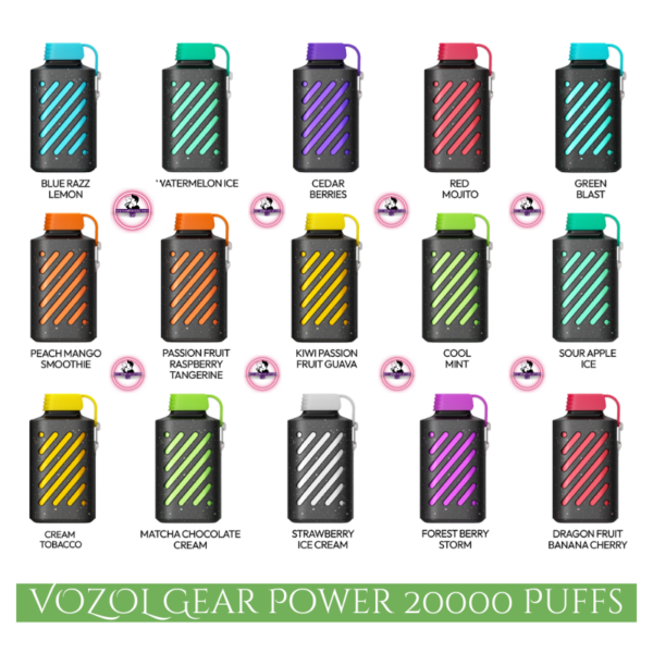 VOZOL Gear Power 20000 Puffs