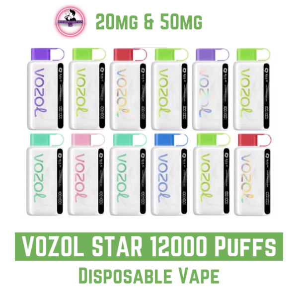 VOZOL STAR 12000 Puffs 20mg & 50mg Disposable Vape