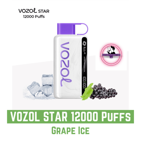 VOZOL STAR 12000 Puffs 20mg & 50mg Disposable Vape Grape Ice