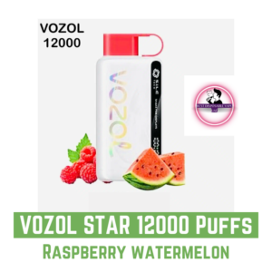 VOZOL STAR 12000 Puffs 20mg & 50mg Disposable Vape Raspberry watermelon